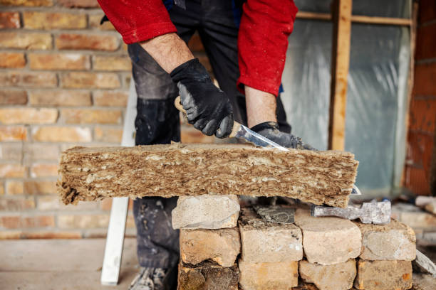 Best Spray Foam Insulation  in Live Oak, TX