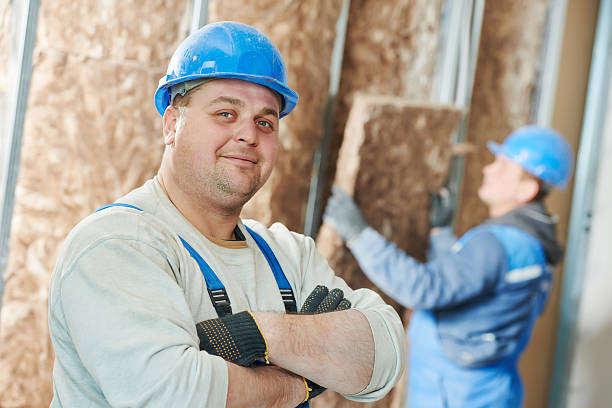 Insulation Replacement Services in Live Oak, TX
